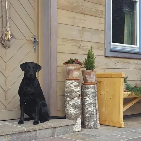 Dom wakacyjny Huette Rengerberg