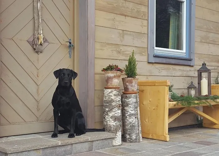 Dom wakacyjny Huette Rengerberg